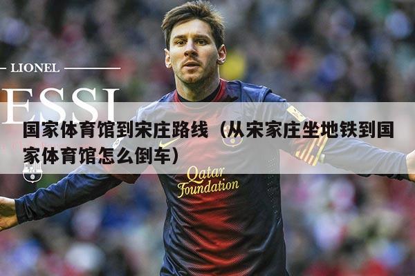 国家体育馆到宋庄路线（从宋家庄坐地铁到国家体育馆怎么倒车）