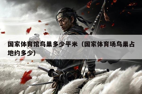 国家体育馆鸟巢多少平米(国家体育场鸟巢占地约多少)