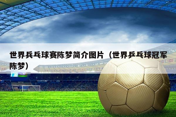 世界兵乓球赛陈梦简介图片(世界乒乓球冠军陈梦)