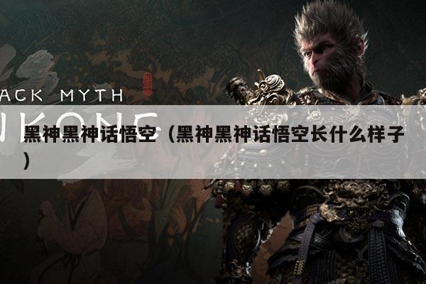黑神黑神话悟空(黑神黑神话悟空长什么样子)