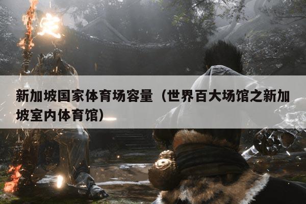 新加坡国家体育场容量(世界百大场馆之新加坡室内体育馆)