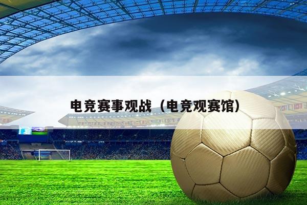 电竞赛事观战(电竞观赛馆)