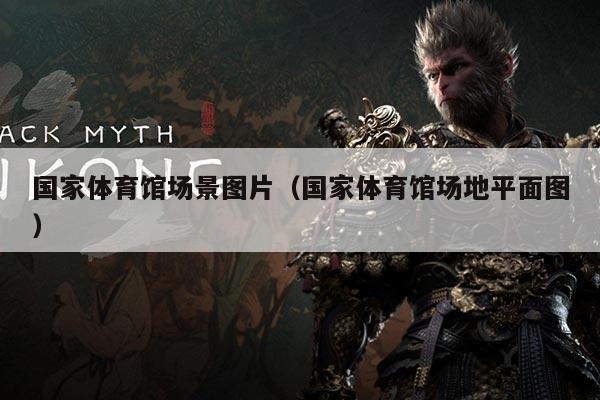 国家体育馆场景图片（国家体育馆场地平面图）