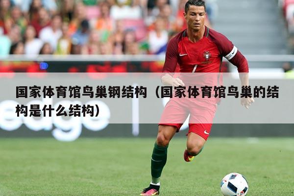 国家体育馆鸟巢钢结构(国家体育馆鸟巢的结构是什么结构)