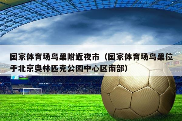 国家体育场鸟巢附近夜市（国家体育场鸟巢位于北京奥林匹克公园中心区南部）
