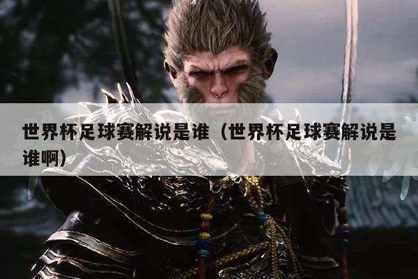 世界杯足球赛解说是谁（世界杯足球赛解说是谁啊）