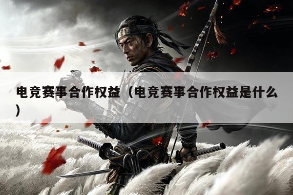 电竞赛事合作权益（电竞赛事合作权益是什么）