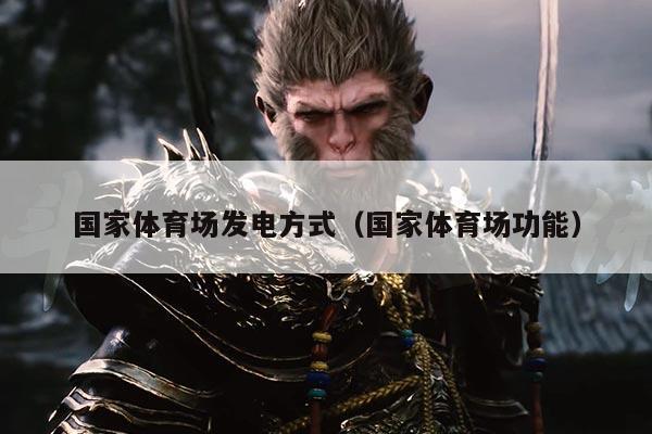 国家体育场发电方式（国家体育场功能）