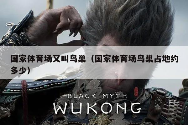 国家体育场又叫鸟巢(国家体育场鸟巢占地约多少)