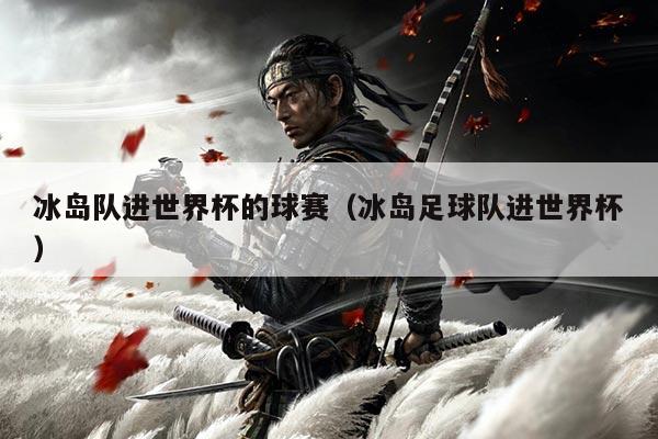 冰岛队进世界杯的球赛（冰岛足球队进世界杯）