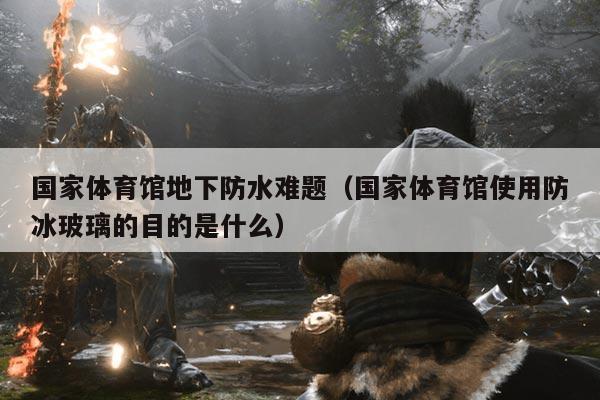 国家体育馆地下防水难题（国家体育馆使用防冰玻璃的目的是什么）