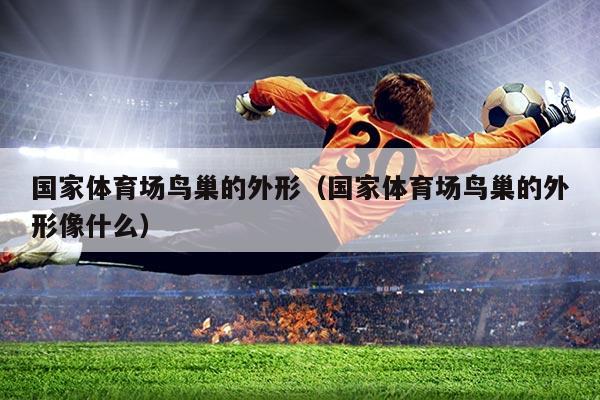 国家体育场鸟巢的外形（国家体育场鸟巢的外形像什么）