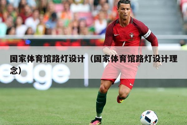国家体育馆路灯设计(国家体育馆路灯设计理念)