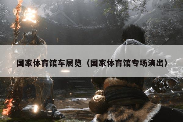 国家体育馆车展览（国家体育馆专场演出）