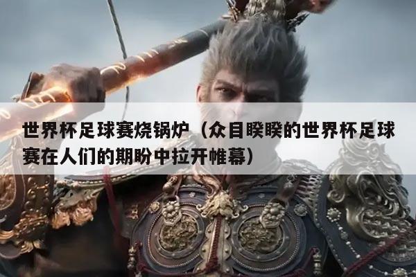 世界杯足球赛烧锅炉（众目睽睽的世界杯足球赛在人们的期盼中拉开帷幕）