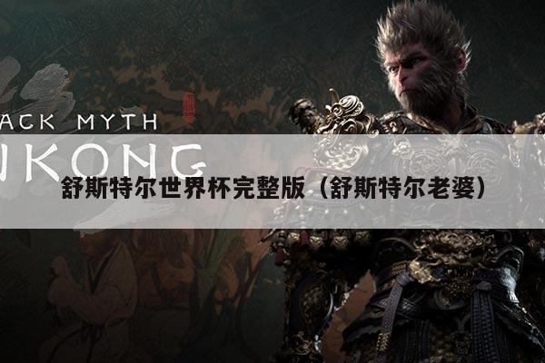 舒斯特尔世界杯完整版（舒斯特尔老婆）