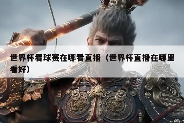世界杯看球赛在哪看直播（世界杯直播在哪里看好）